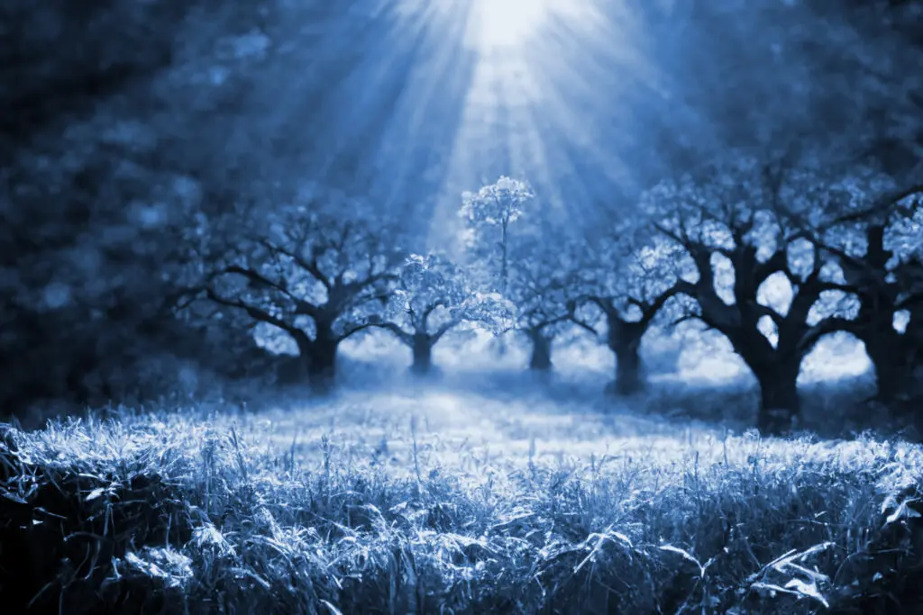 Einer der größten Vorteile vom Investieren nach dem Sparplan-Modell: dein Vermögen wächst stetig und ein Crash ist eher etwas Gutes (eine Nachkaufgelegenheit) für dich.